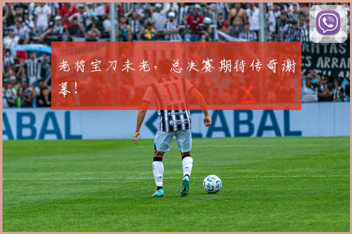 老将宝刀未老，总决赛期待传奇谢幕！